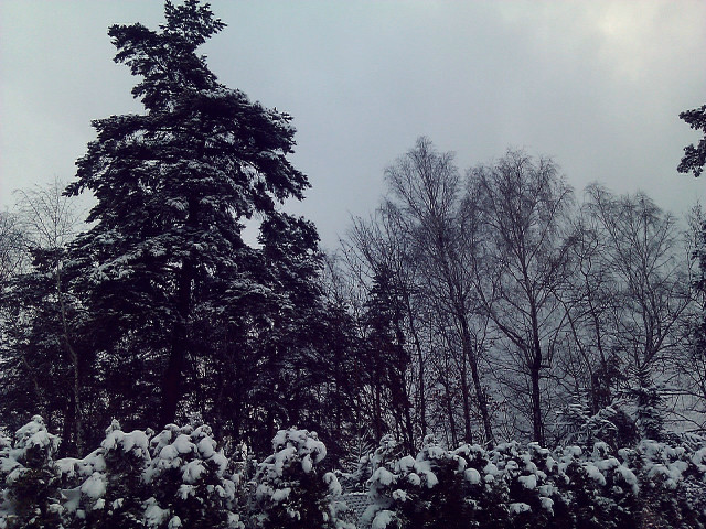 Snow. / I Can't... 