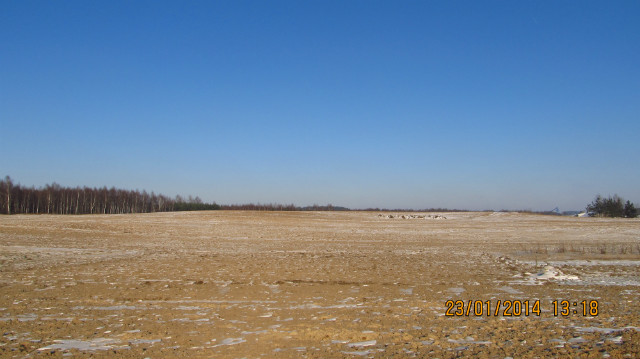 Goe pola i -19 stopni 23.01.14r