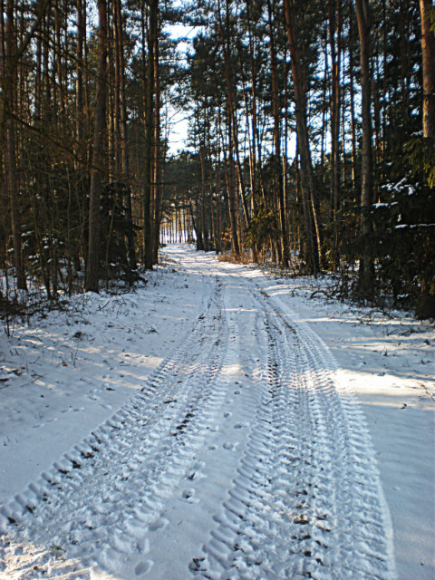 ZIMOWE