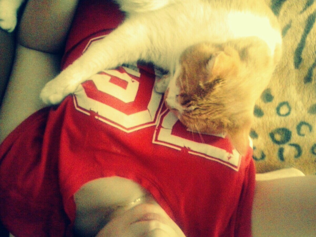 typowa nd.