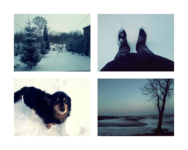 6. - Winter.