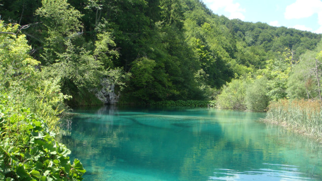 Wakacje