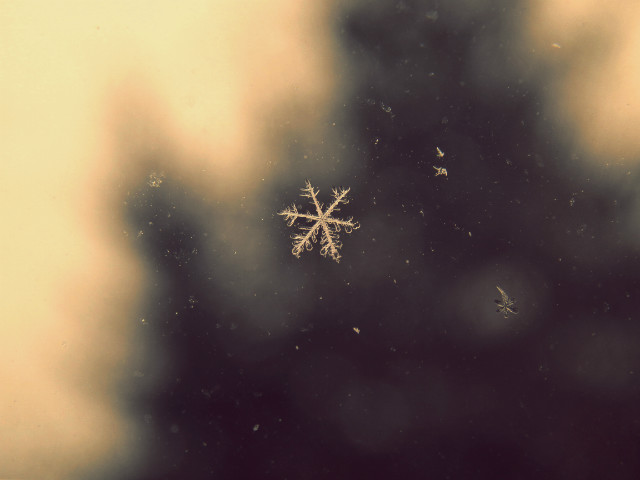 Winter *______*