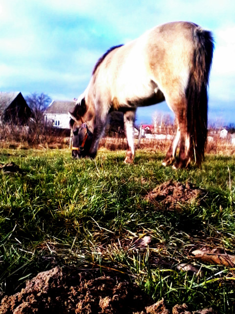 Kochana :*