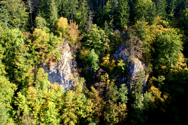 PRZEPA MACOCHY
