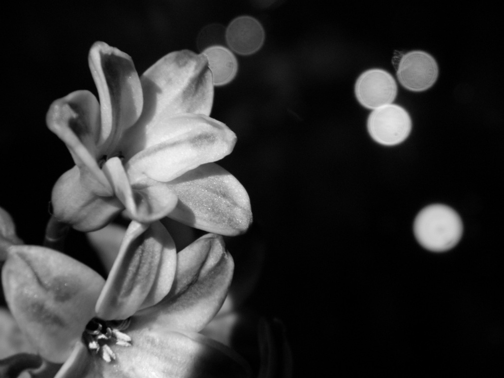 black&white