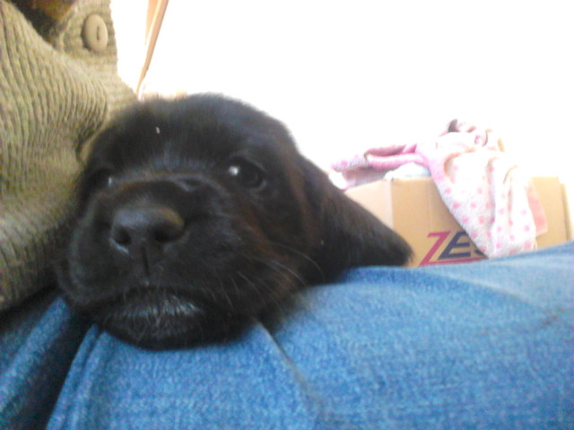 Luncia.. :* 