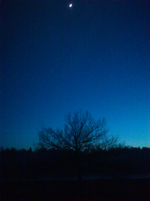 Alone in the dark