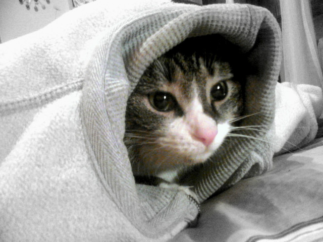 Niunia :3