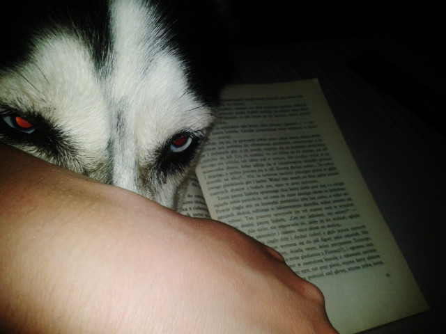 My beloved ghost