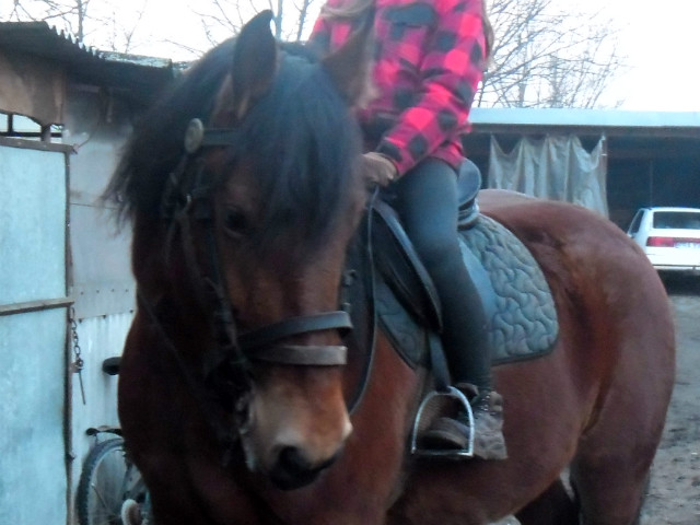 Dejzi ;**