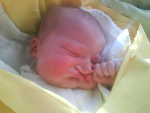 Zosia