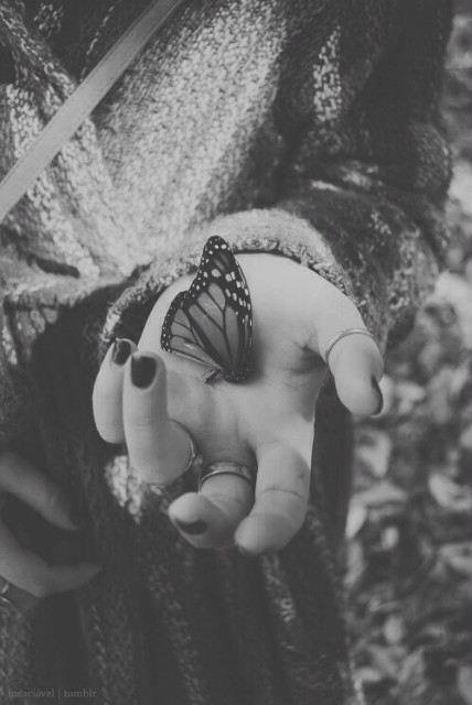 let him go