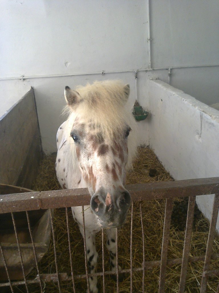 Apollo :*
