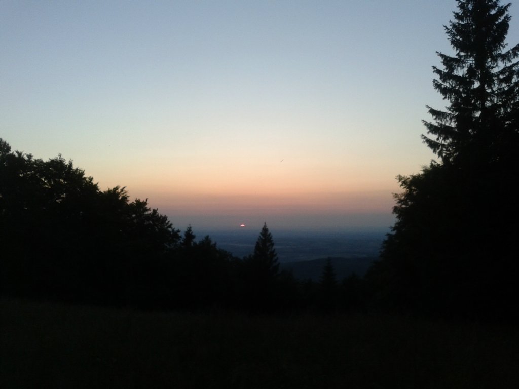 tak, przesadzam