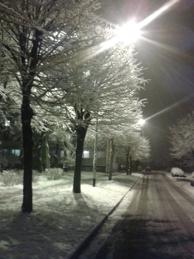 zima 2013 ory