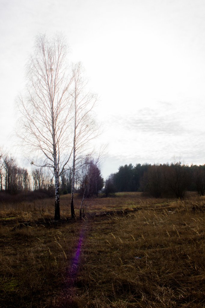 Flara