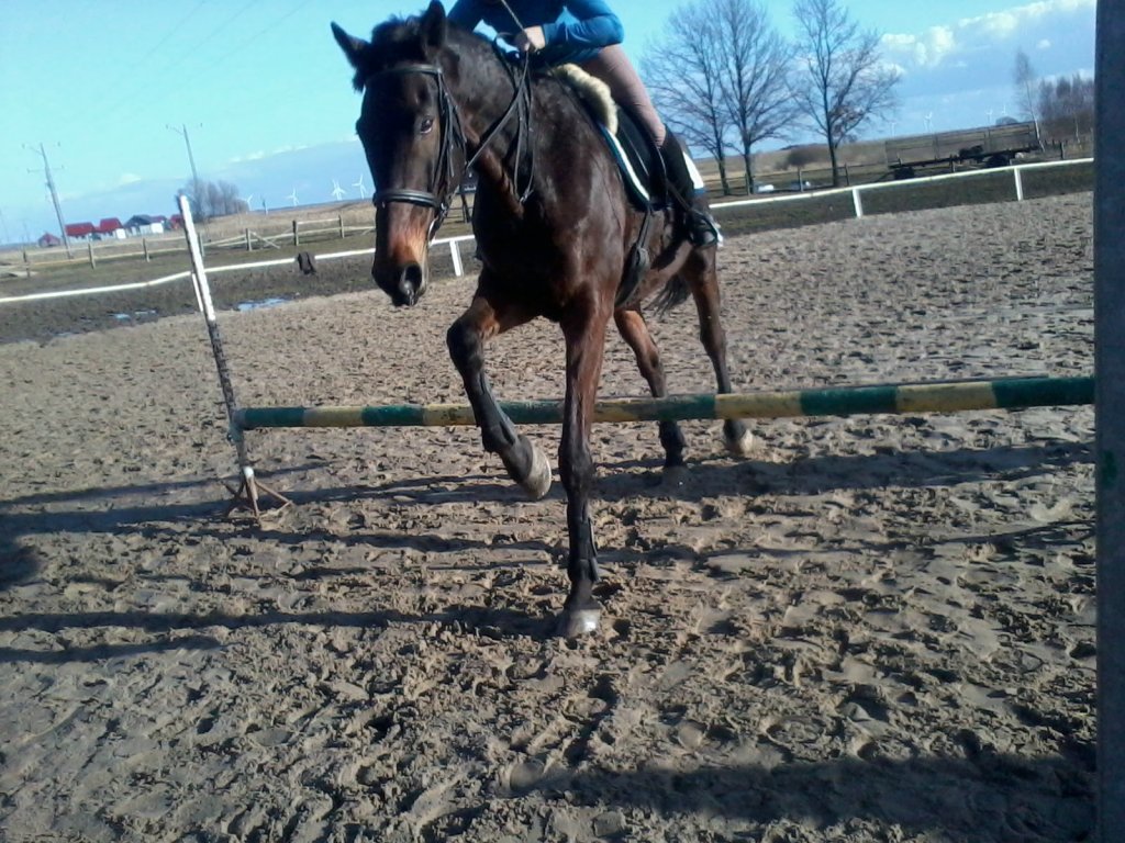 17 luty 2013 - Trening
