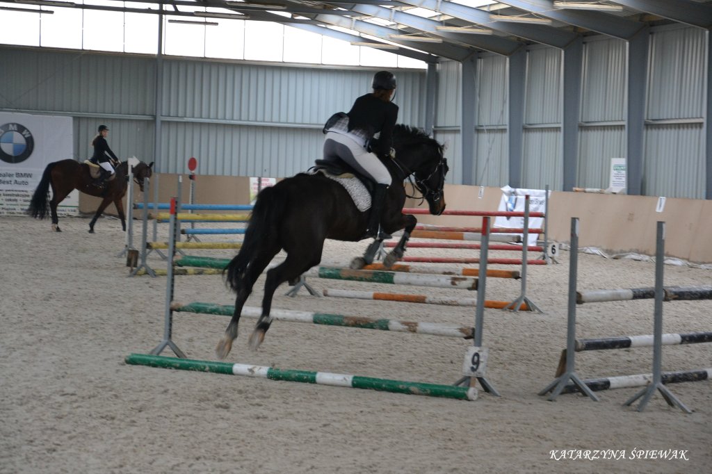 ZR Piker 26.02. 