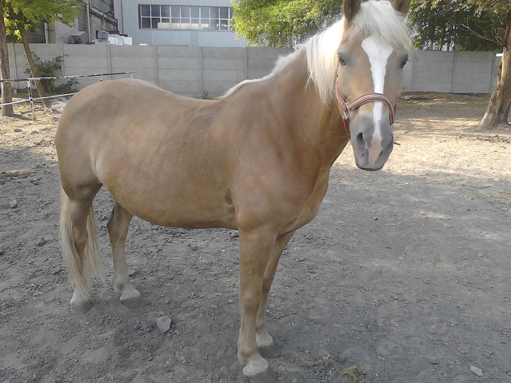 Rita :3