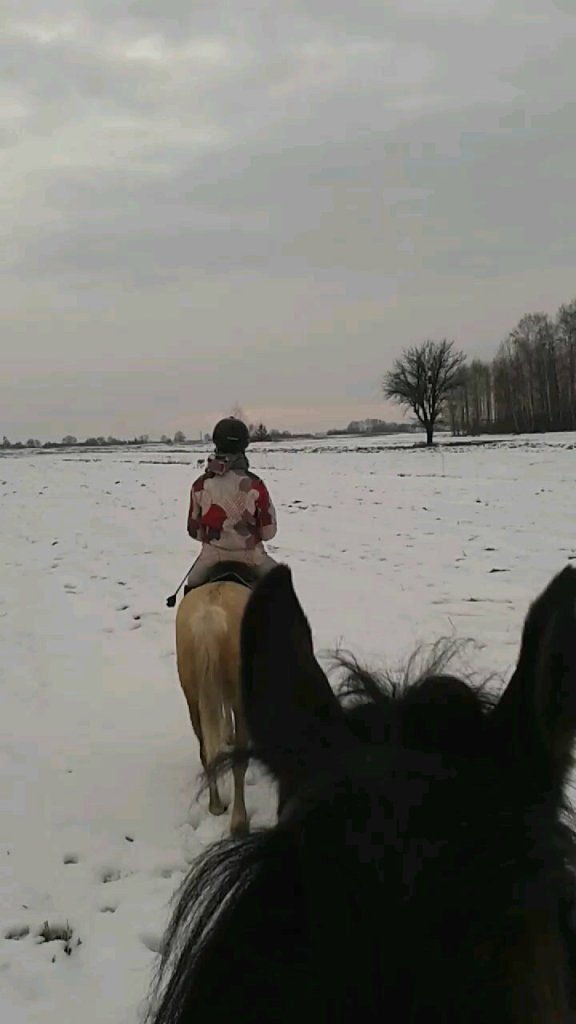 sarenka *.*
