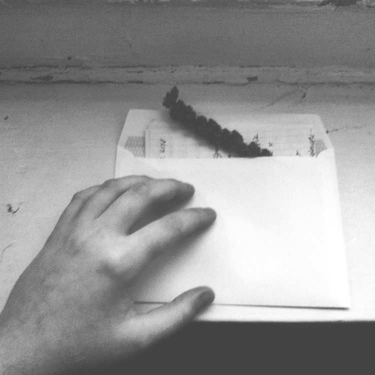 letter