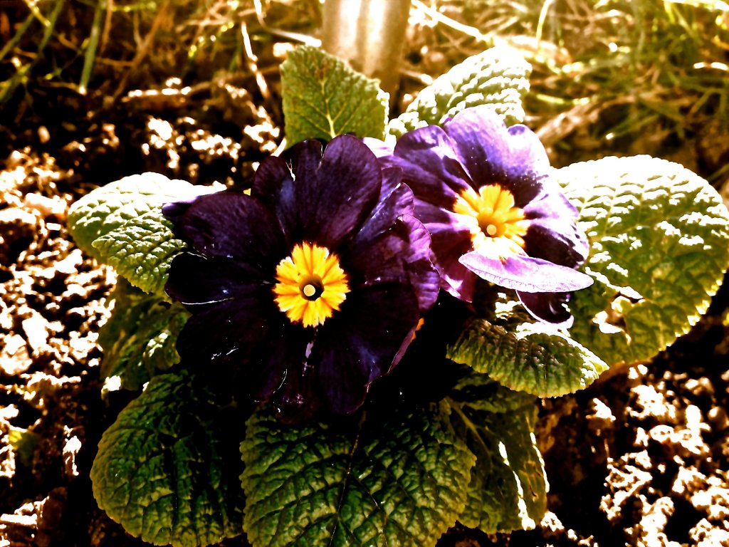 Spring is coming
