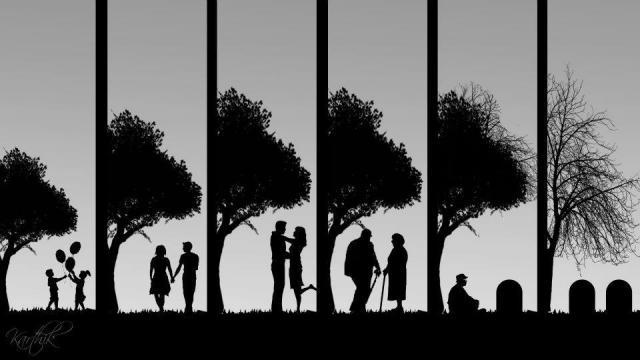 THE END