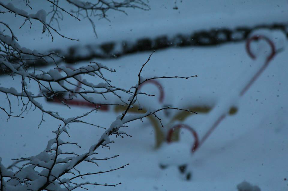 Winter 13r. 