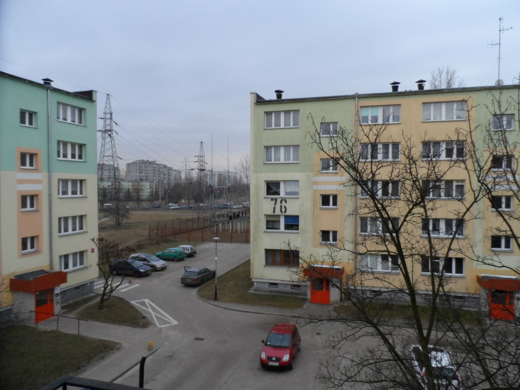 moja d