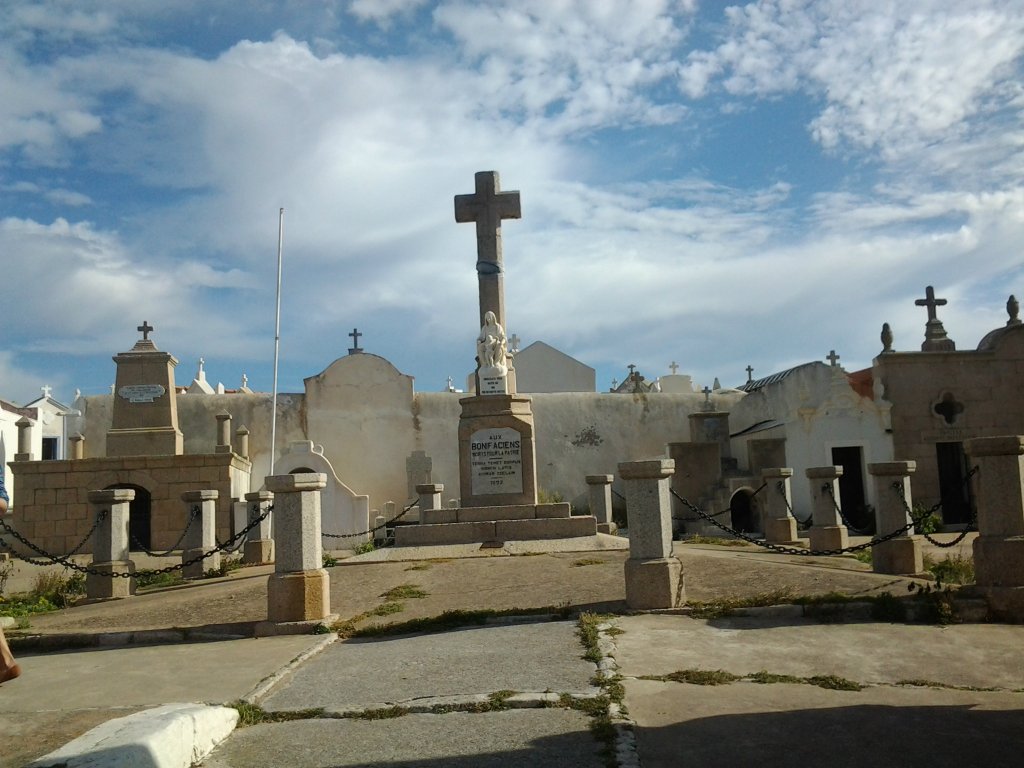 Koci 