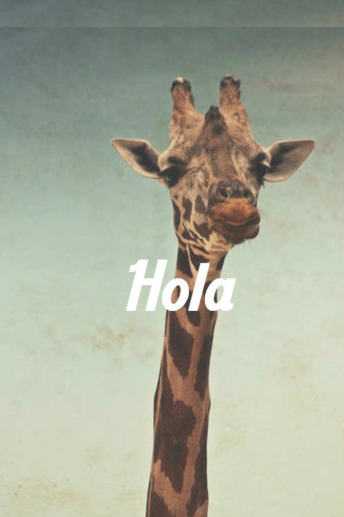21:33 holaa