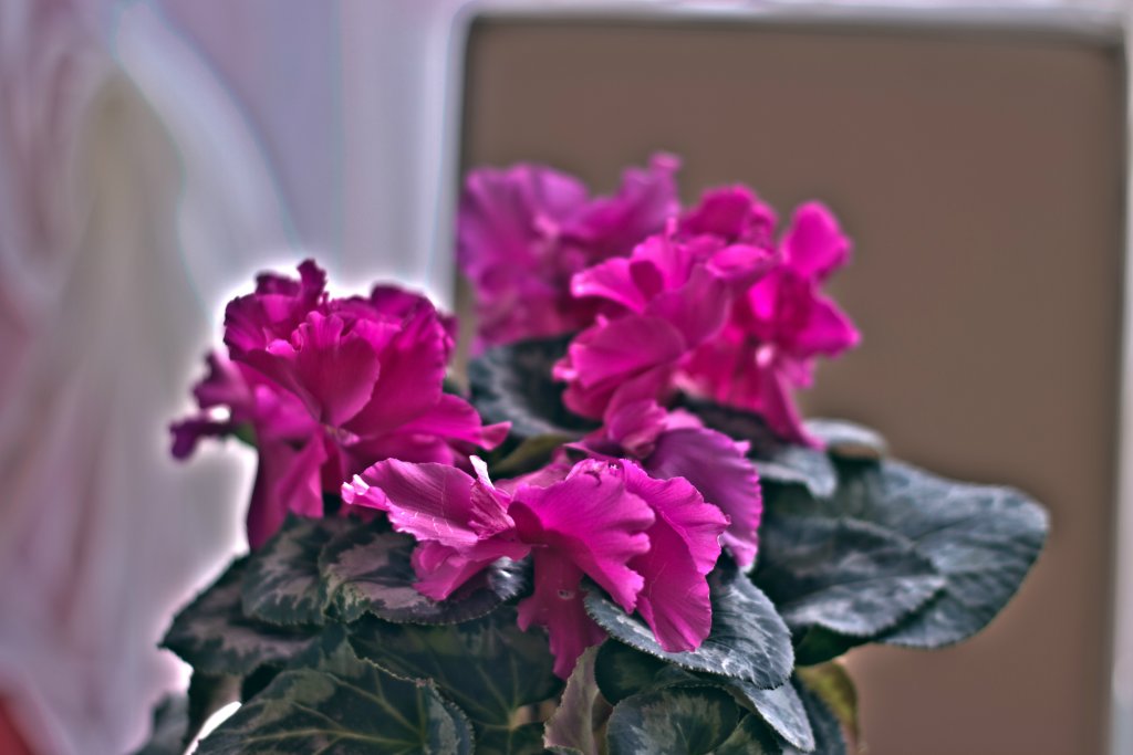 Pierwszy w yciu HDR :)