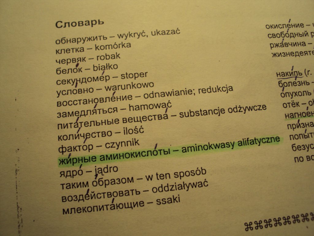 Troch rosyjskich swek... :P