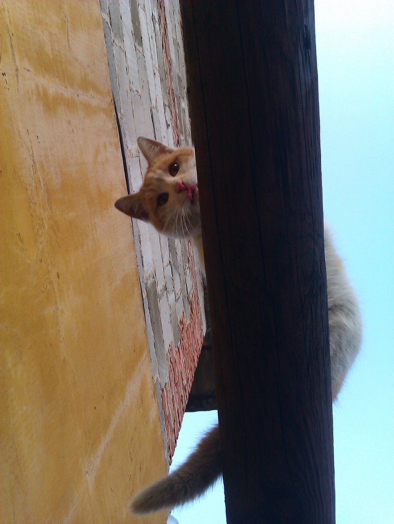 Rruuuudy xD