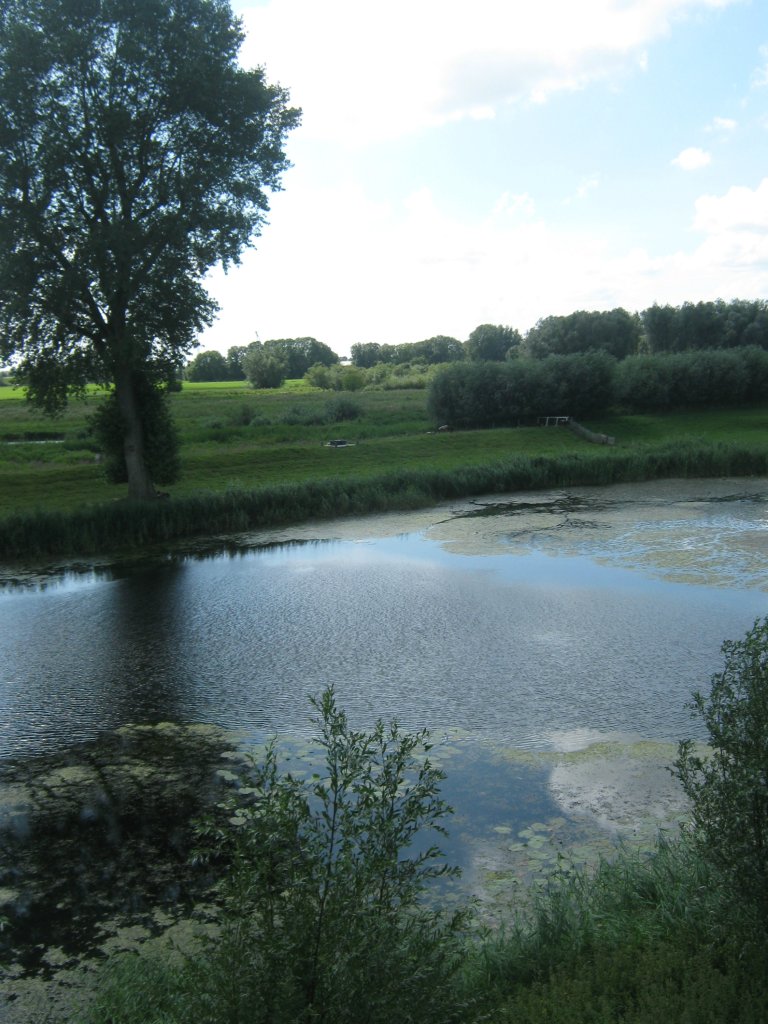 Kolorowa wiosna