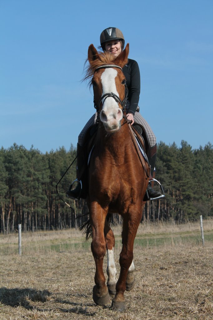 Jola