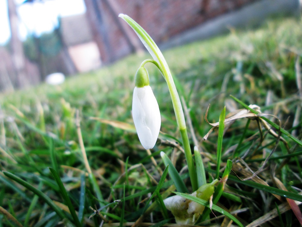 spring is there