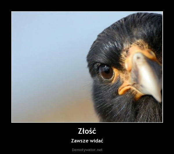 Zlosc mnie czasem rozpiera