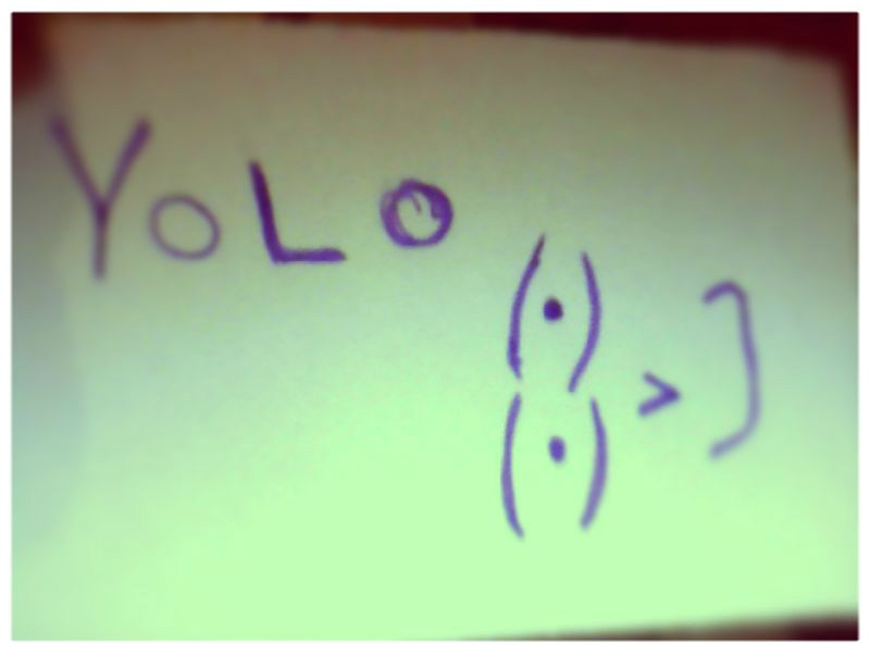 YOLO