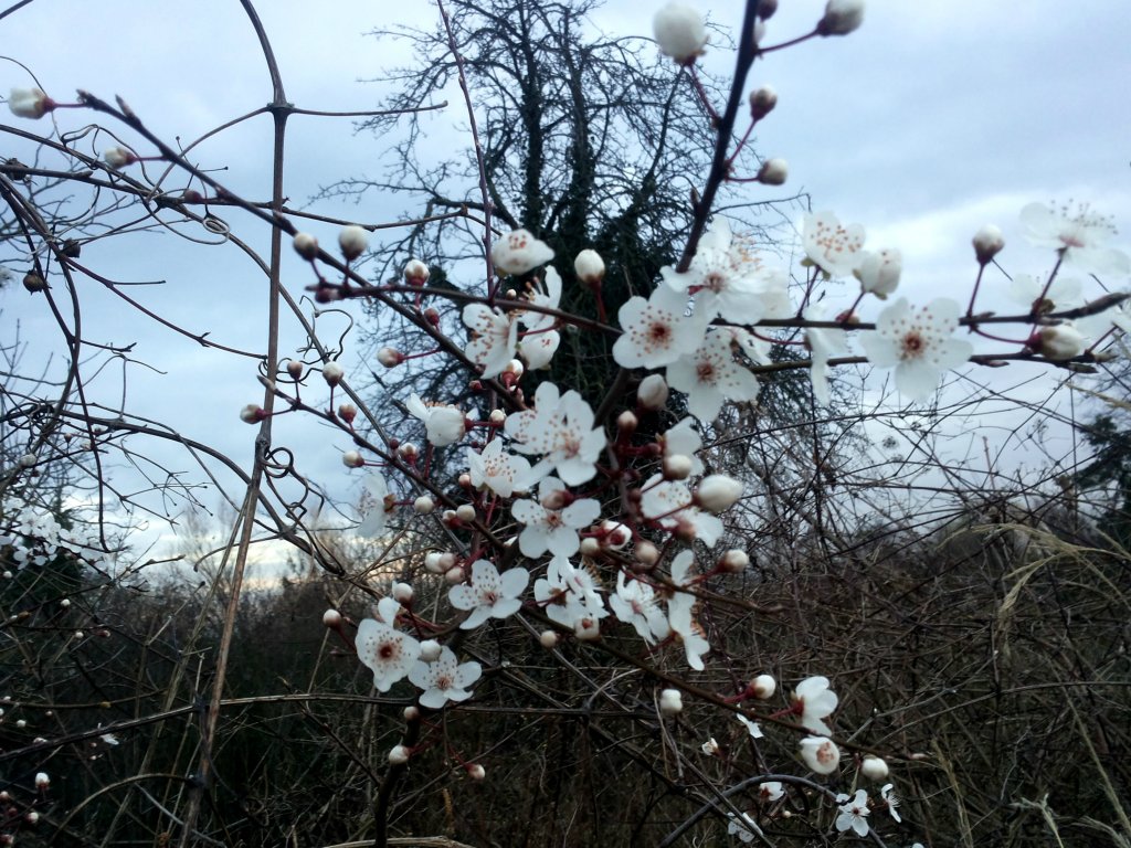 wiosna??