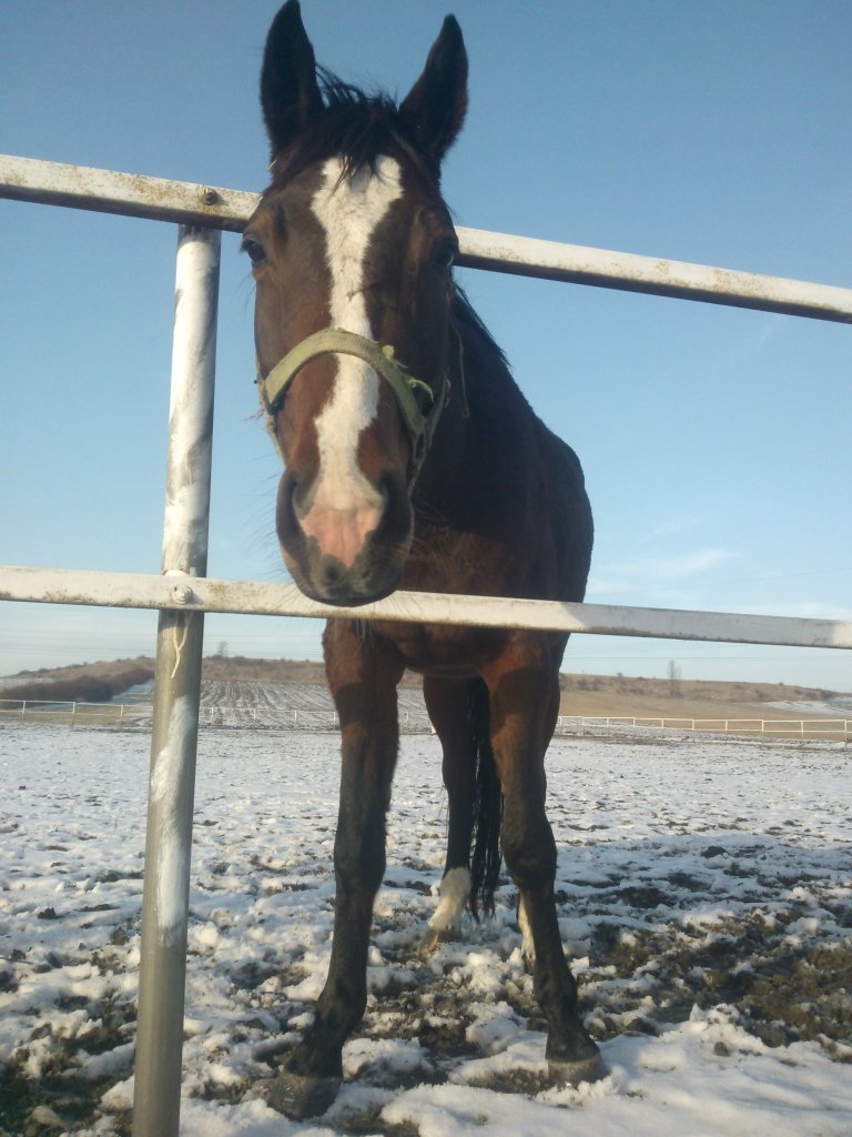 :P