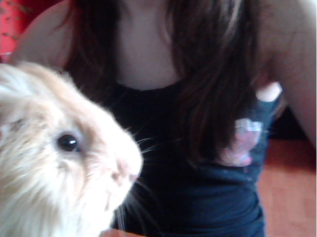 Pysiu :D