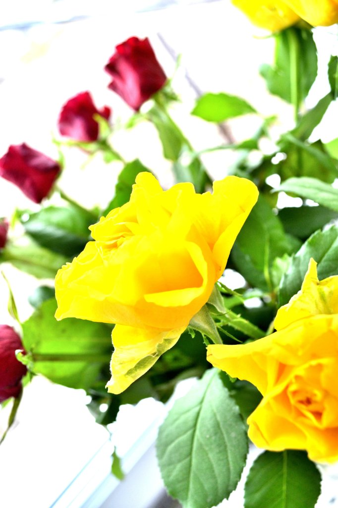 flowers