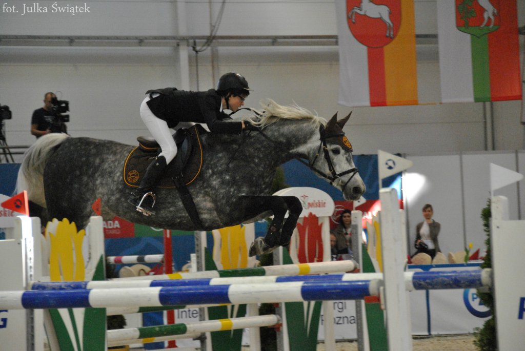 Cavaliada 2014 