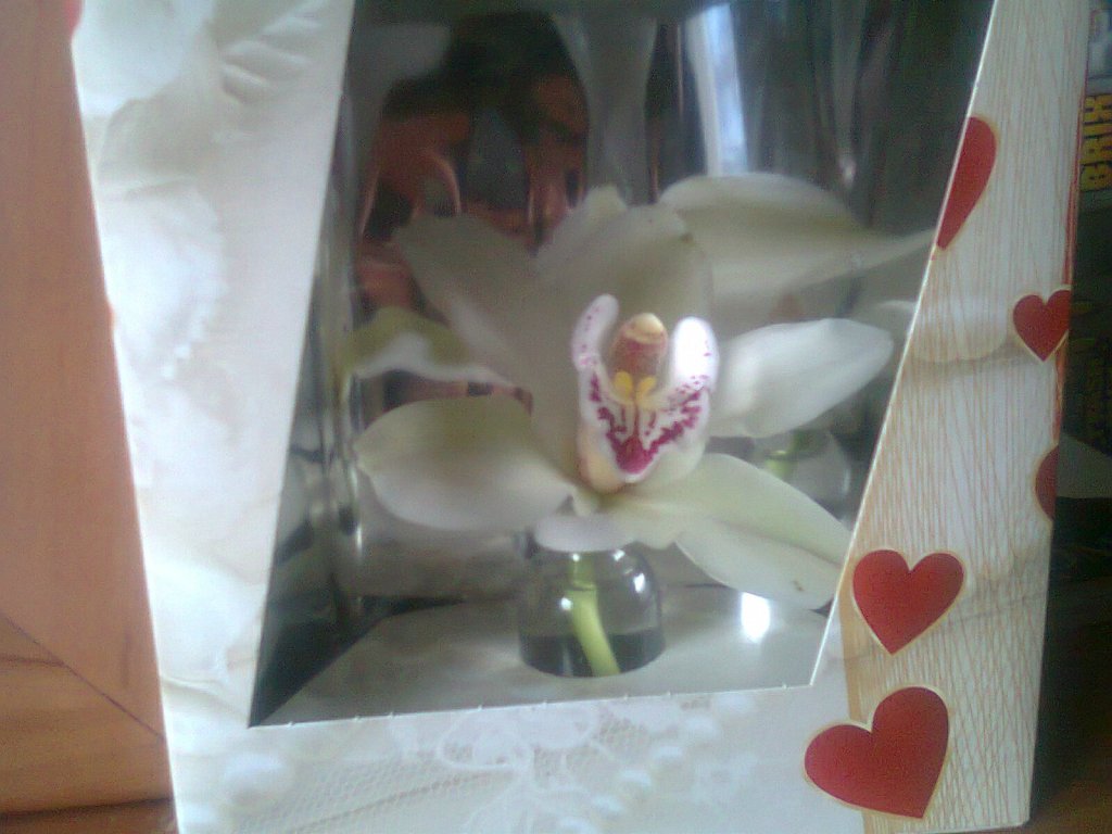 Forever Together