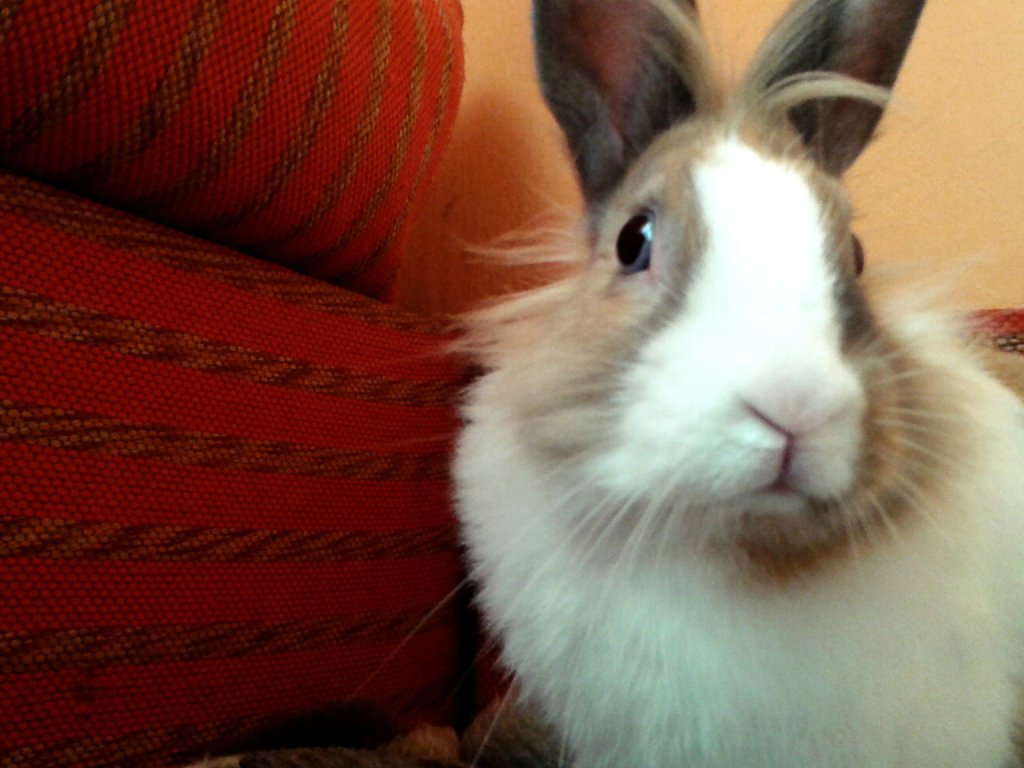241. \ Booobson ;3