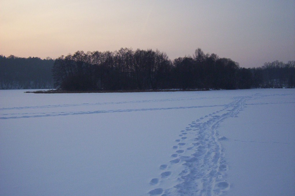 21 stycze 2006r -)