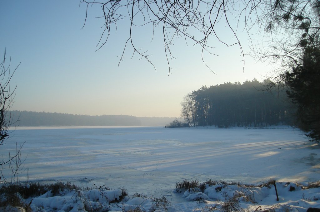 zalew