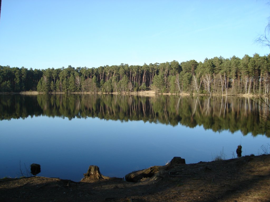 zalew